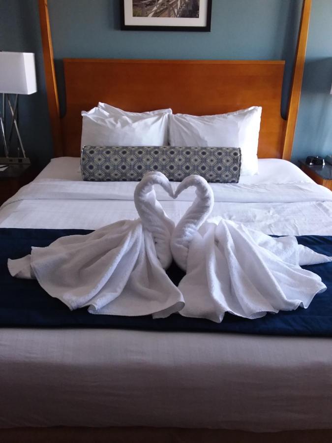 Rockland Harbor Hotel Екстериор снимка